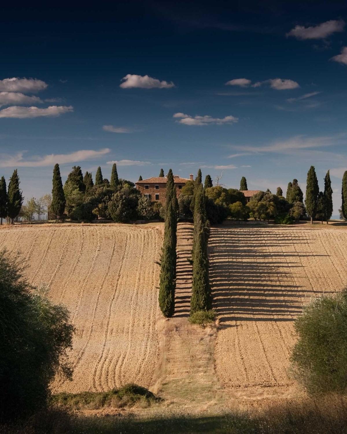 Allée de cyprès menant à une maison